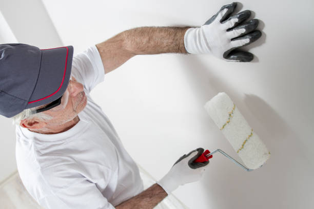 Best Forensic Mold Investigation  in Shorewood, IL