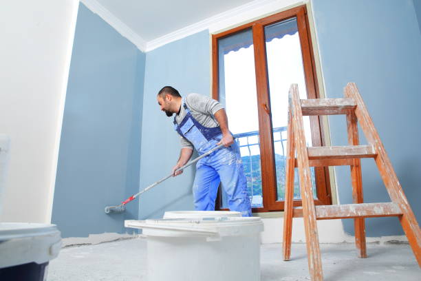  Shorewood, IL Mold Removal Pros