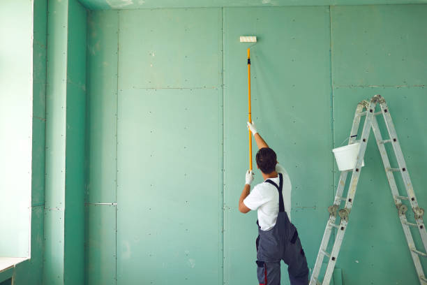 Best Black Mold Removal  in Shorewood, IL