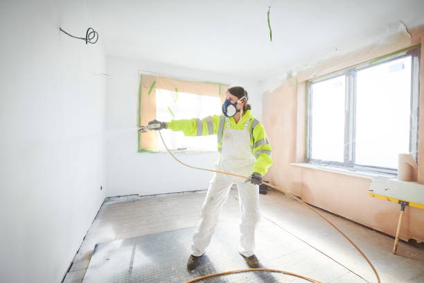 Best Black Mold Removal  in Shorewood, IL