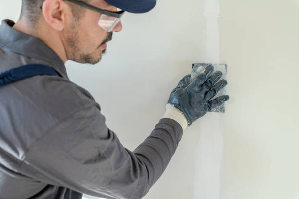 Best Crawl Space Mold Remediation  in Shorewood, IL