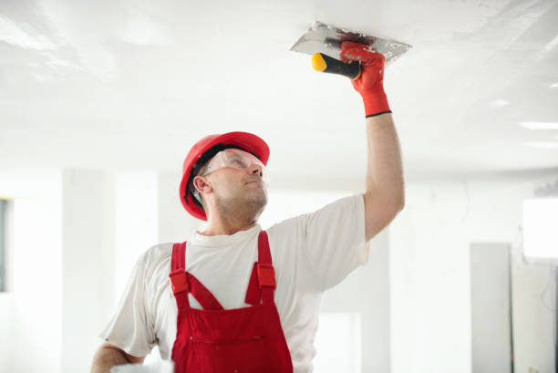 Best Industrial Mold Remediation  in Shorewood, IL