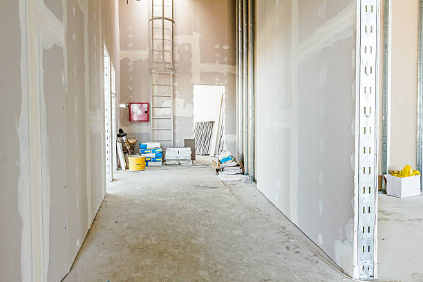 Best Residential Mold Inspection & Testing  in Shorewood, IL