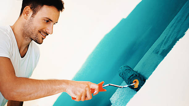 Best Mold Remediation for Healthcare Facilities  in Shorewood, IL