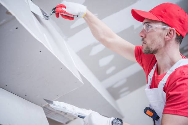 Best Asbestos and Lead Testing During Mold Inspection  in Shorewood, IL